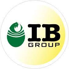 IB group